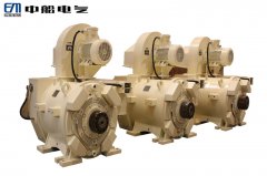 Increased safety frequency conversion motor